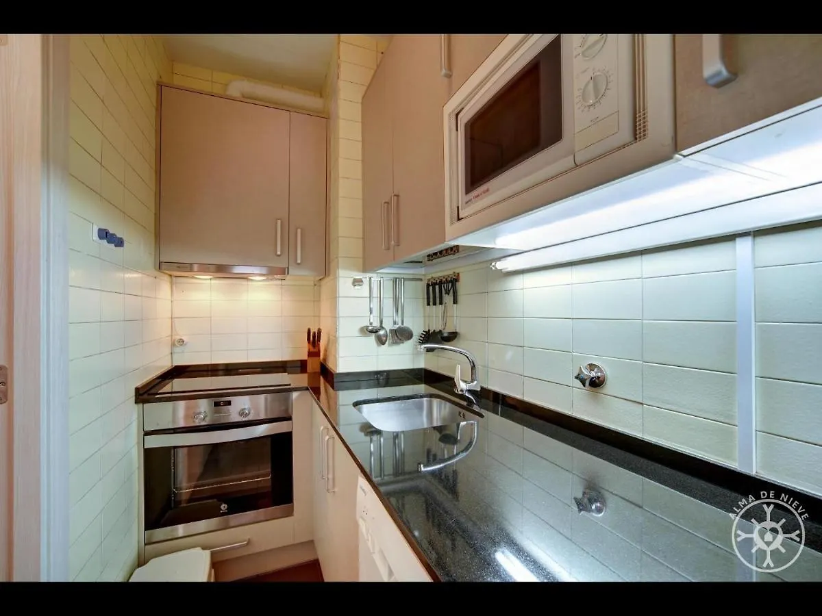 Cabirol De Alma De Nieve Apartment Naut Aran 0*,  Spain